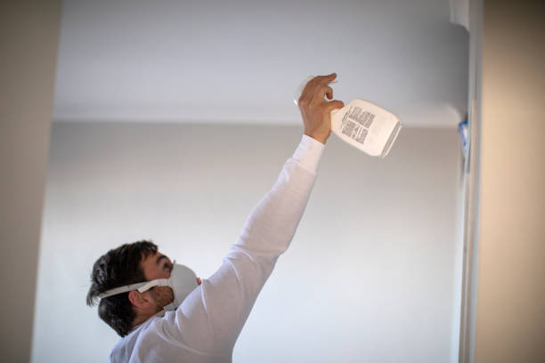 Best Office Mold Removal Services  in Berryville, AR