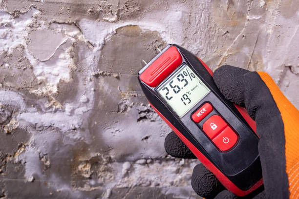 Best Toxic Mold Removal  in Berryville, AR
