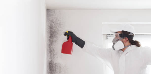 Best Crawl Space Mold Removal  in Berryville, AR